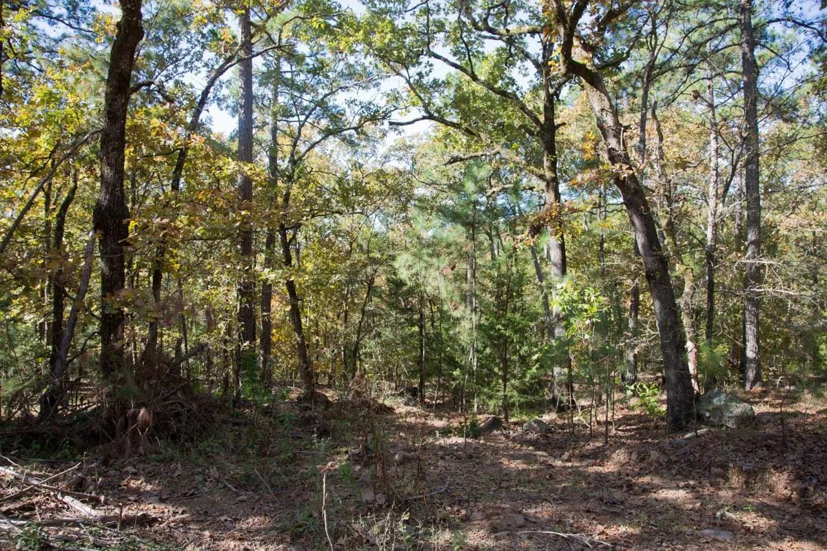Decorative background for Stone Creek Phase I Tract 187 image 20