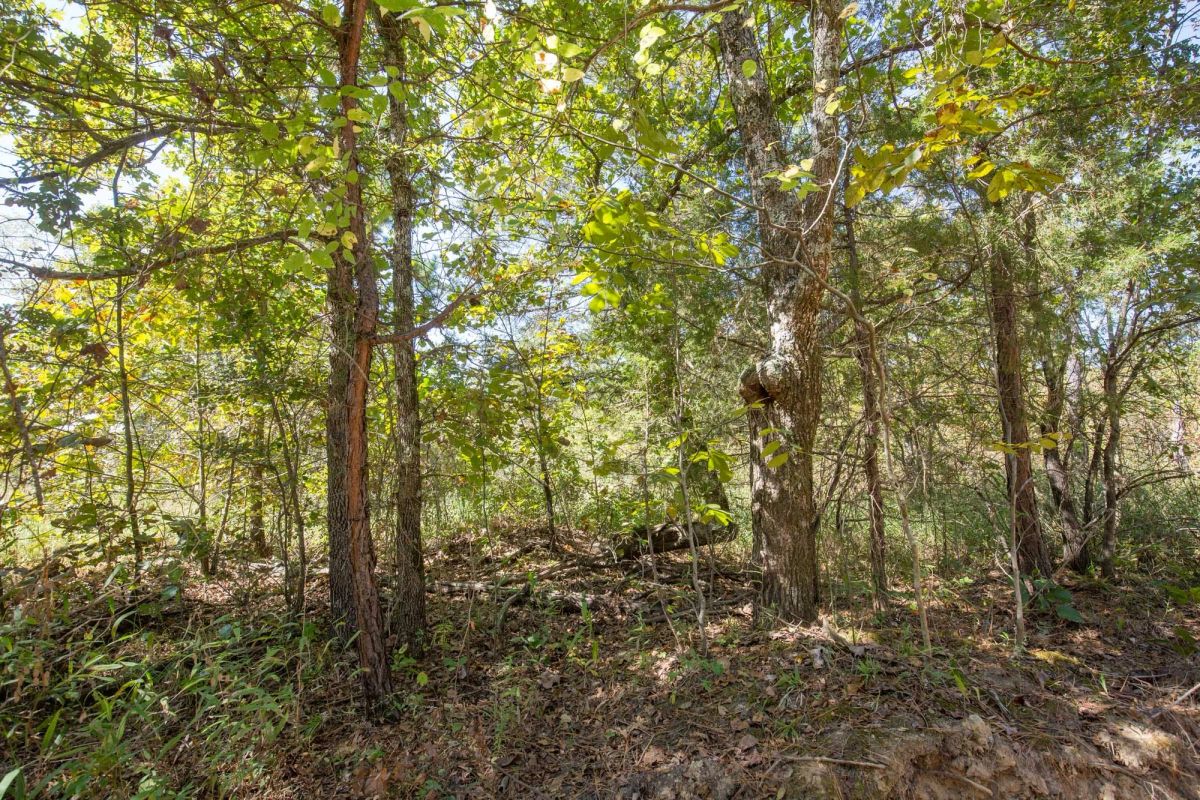 Stone Bridge Phase I Tract 25 - Main image