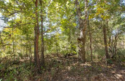 Stone Bridge Phase I Tract 25