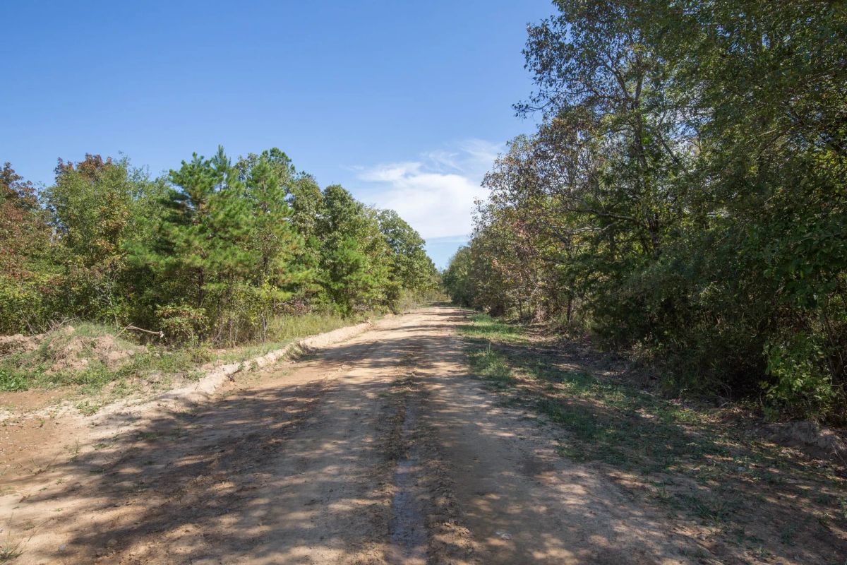 Decorative background for Stone Bridge Phase I Tract 25 image 5