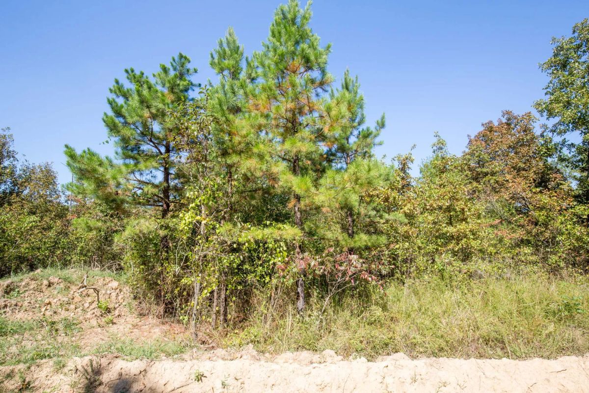 Decorative background for Stone Bridge Phase I Tract 25 image 6