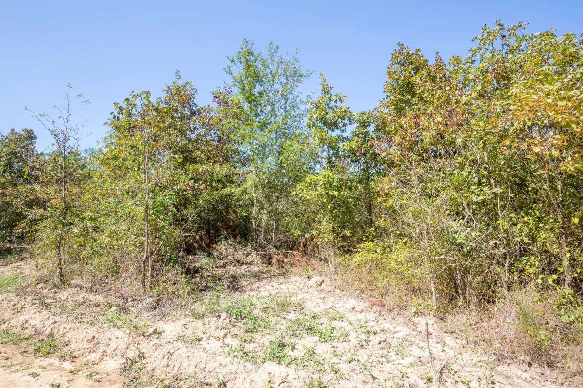 Decorative background for Stone Bridge Phase I Tract 25 image 7