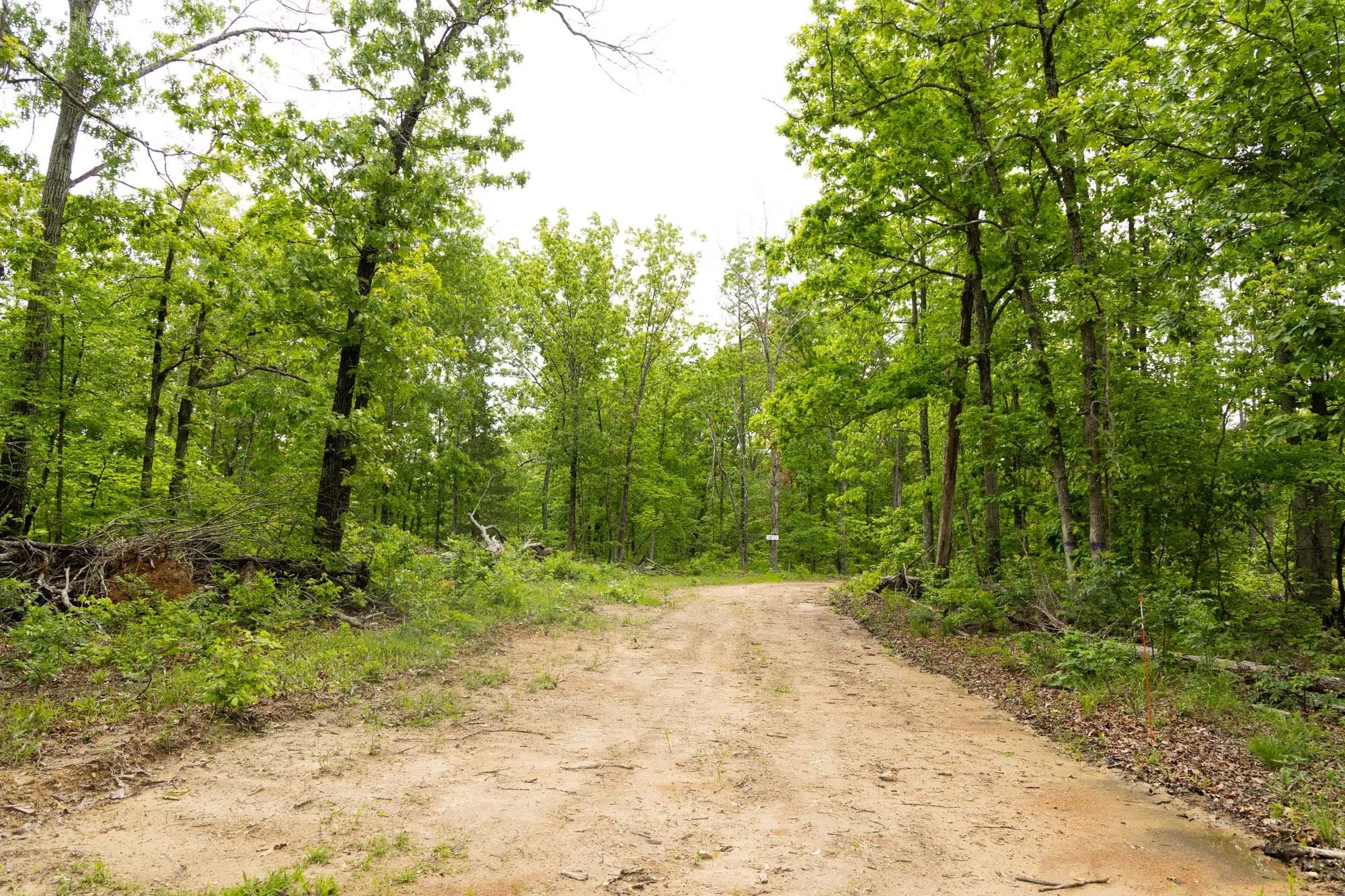 Stardust Estates Tract 25 in Reynolds County, MO