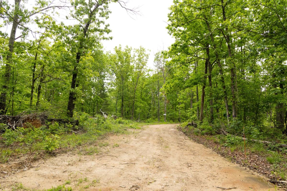 Stardust Estates Tract 25 - Image 2