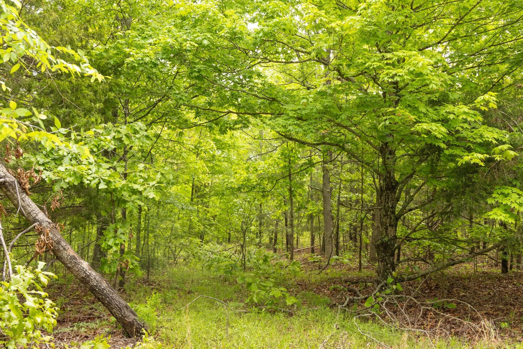 Stardust Estates Tract 25 in Reynolds County, MO