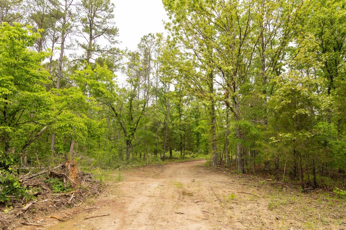Decorative background for Stardust Estates Tract 25 image 6