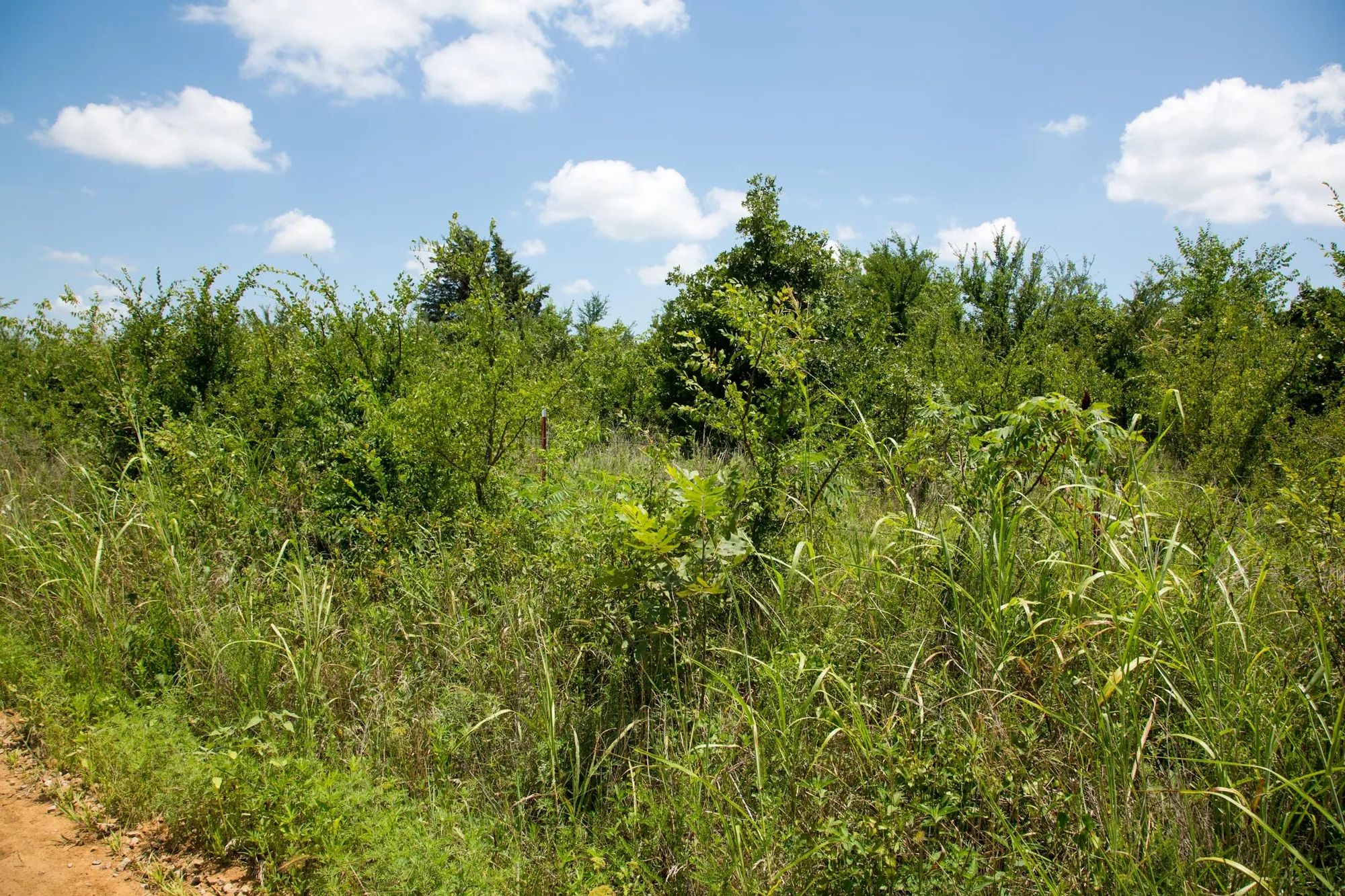 Deep Fork Ranch Tract 14 in Okfuskee County, OK
