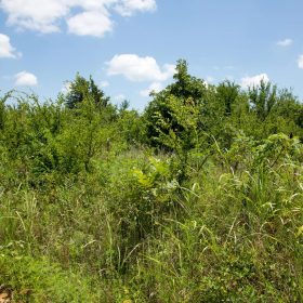 Deep Fork Ranch Tract 14 in Okfuskee County, OK