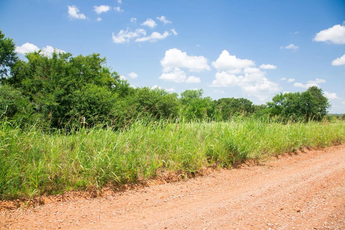 Decorative background for Deep Fork Ranch Tract 14 image 5