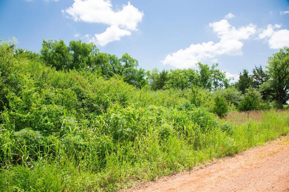 Decorative background for Deep Fork Ranch Tract 14 image 7