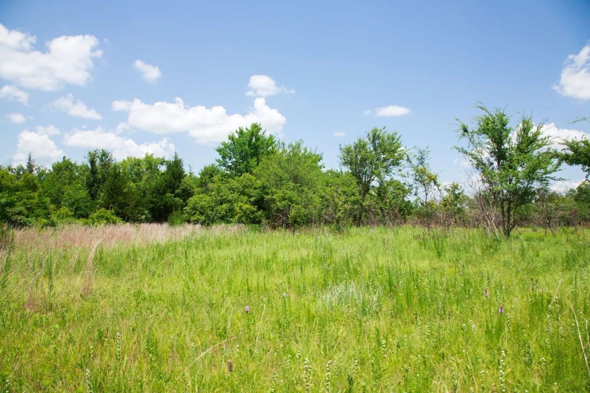 Decorative background for Deep Fork Ranch Tract 14 image 10