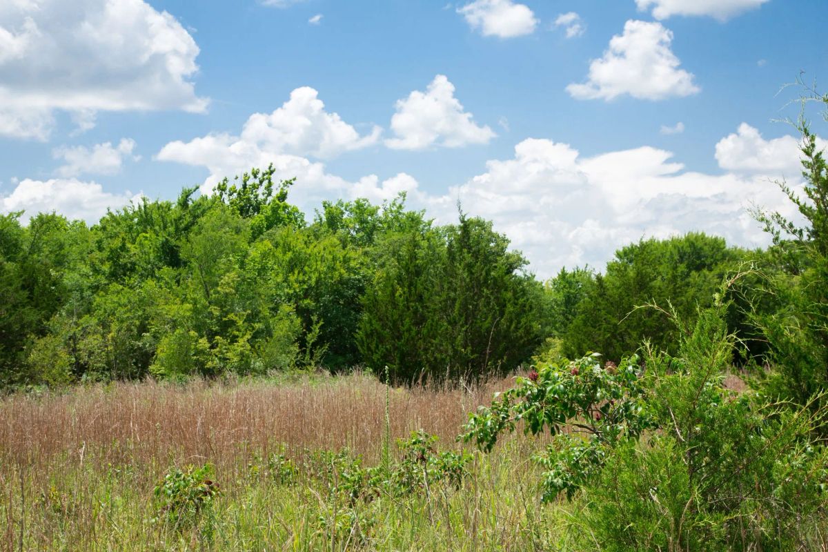 Decorative background for Deep Fork Ranch Tract 14 image 11