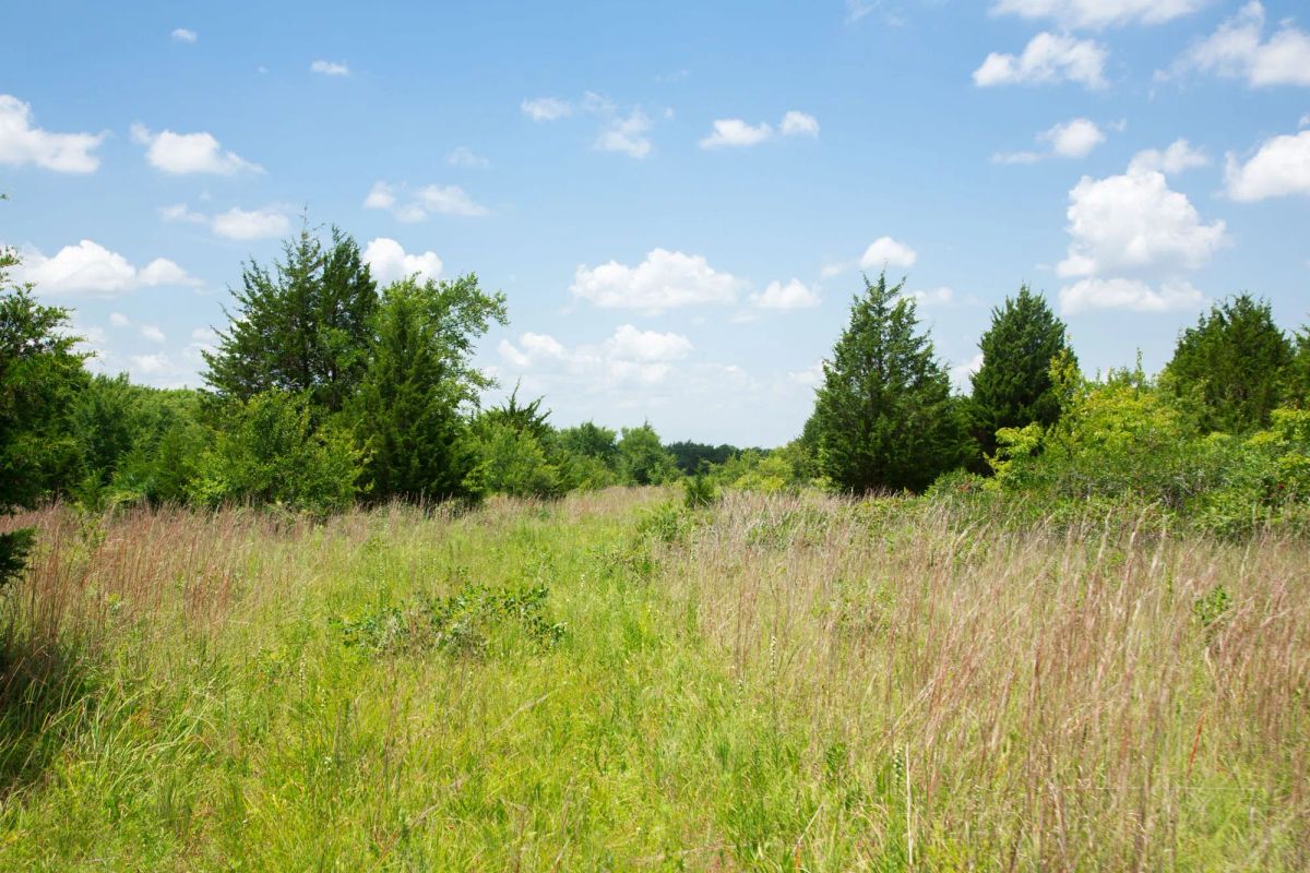 Decorative background for Deep Fork Ranch Tract 14 image 12