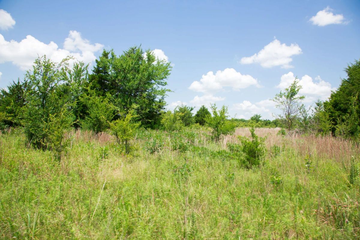 Decorative background for Deep Fork Ranch Tract 14 image 13