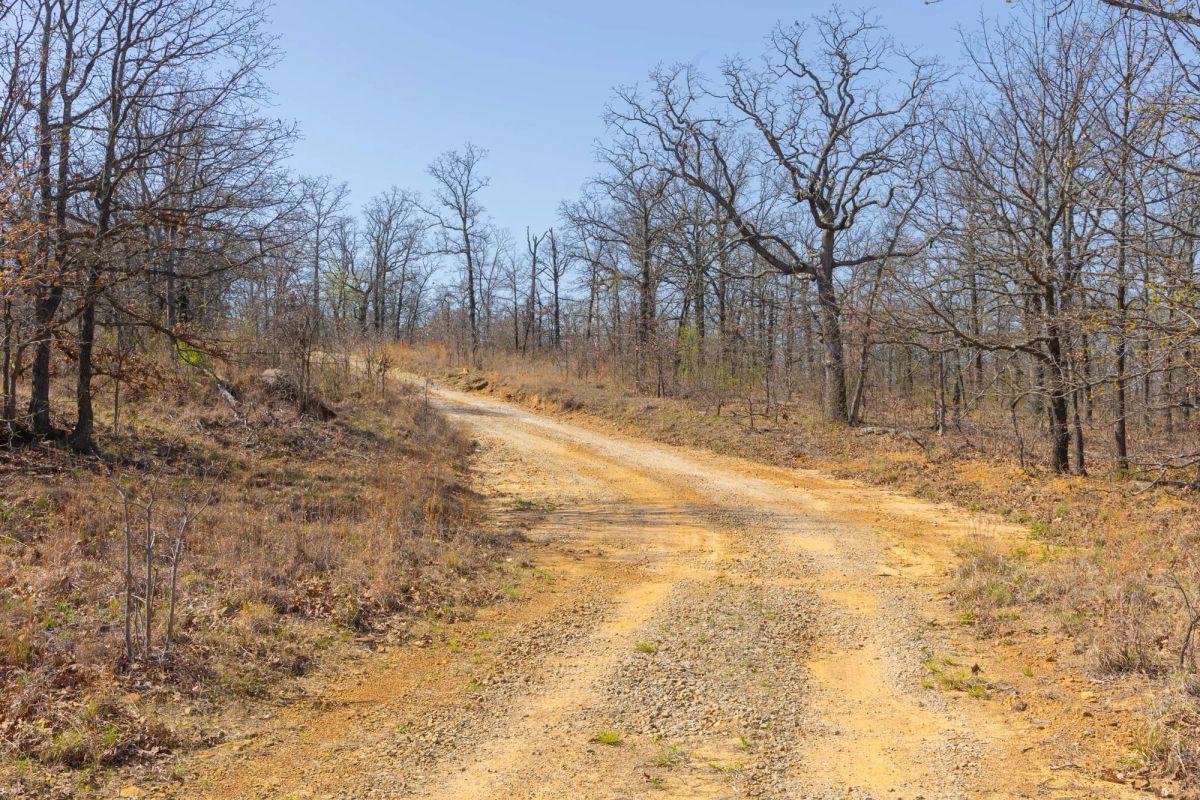 JLH Estates Tract 4 - Image 2