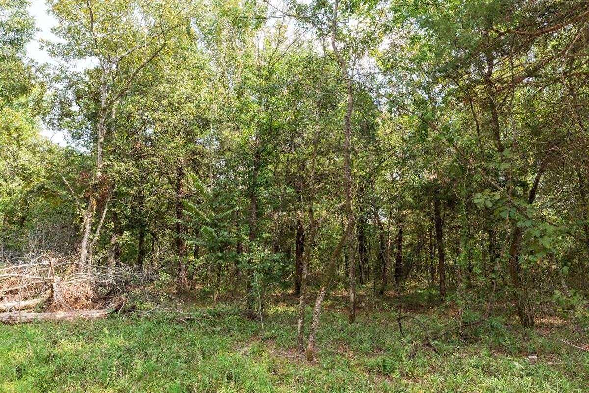 Decorative background for Stone Bridge Phase V Tract 409 image 7