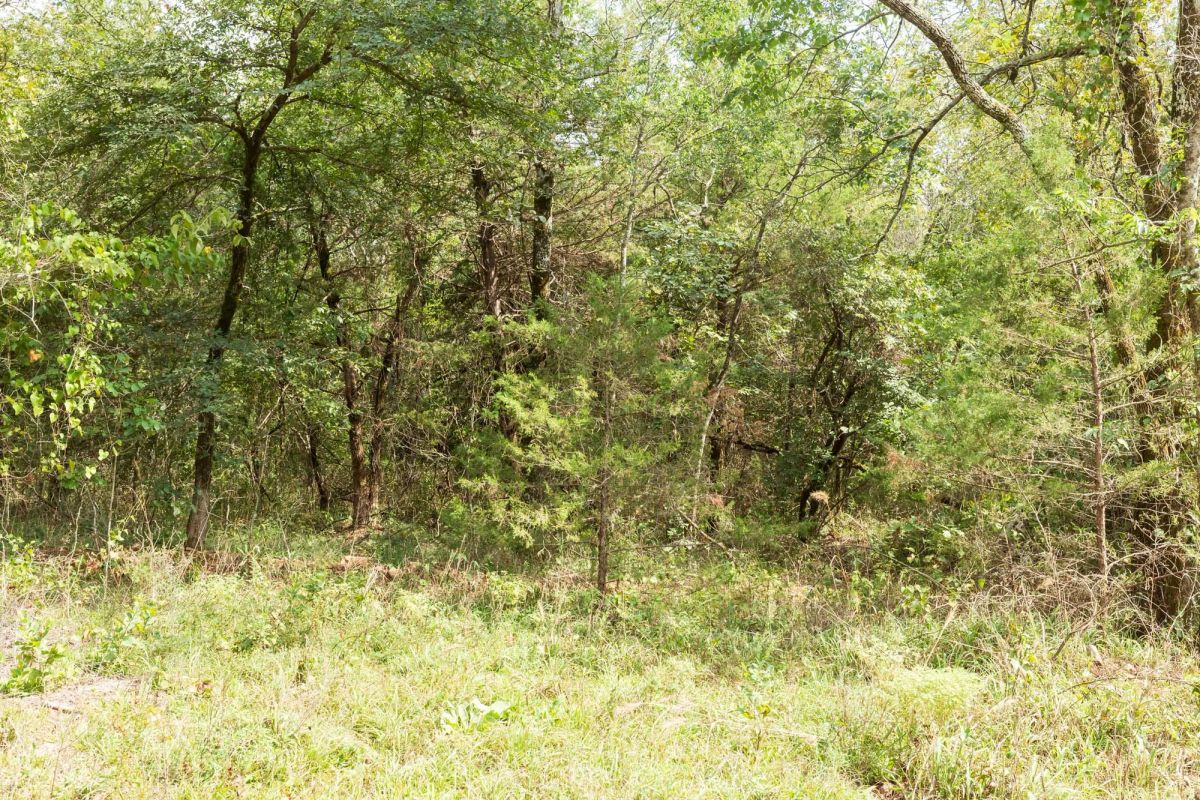 Decorative background for Stone Bridge Phase V Tract 409 image 9