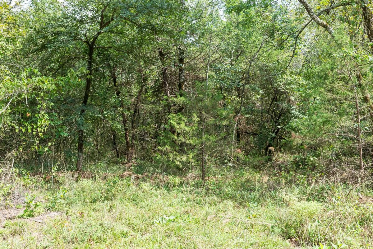 Decorative background for Stone Bridge Phase V Tract 409 image 11