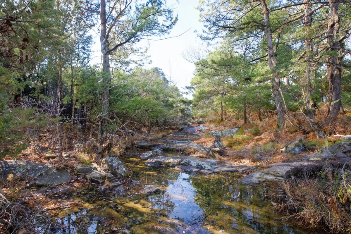 Decorative background for Stone Bridge Phase V Tract 409 image 13