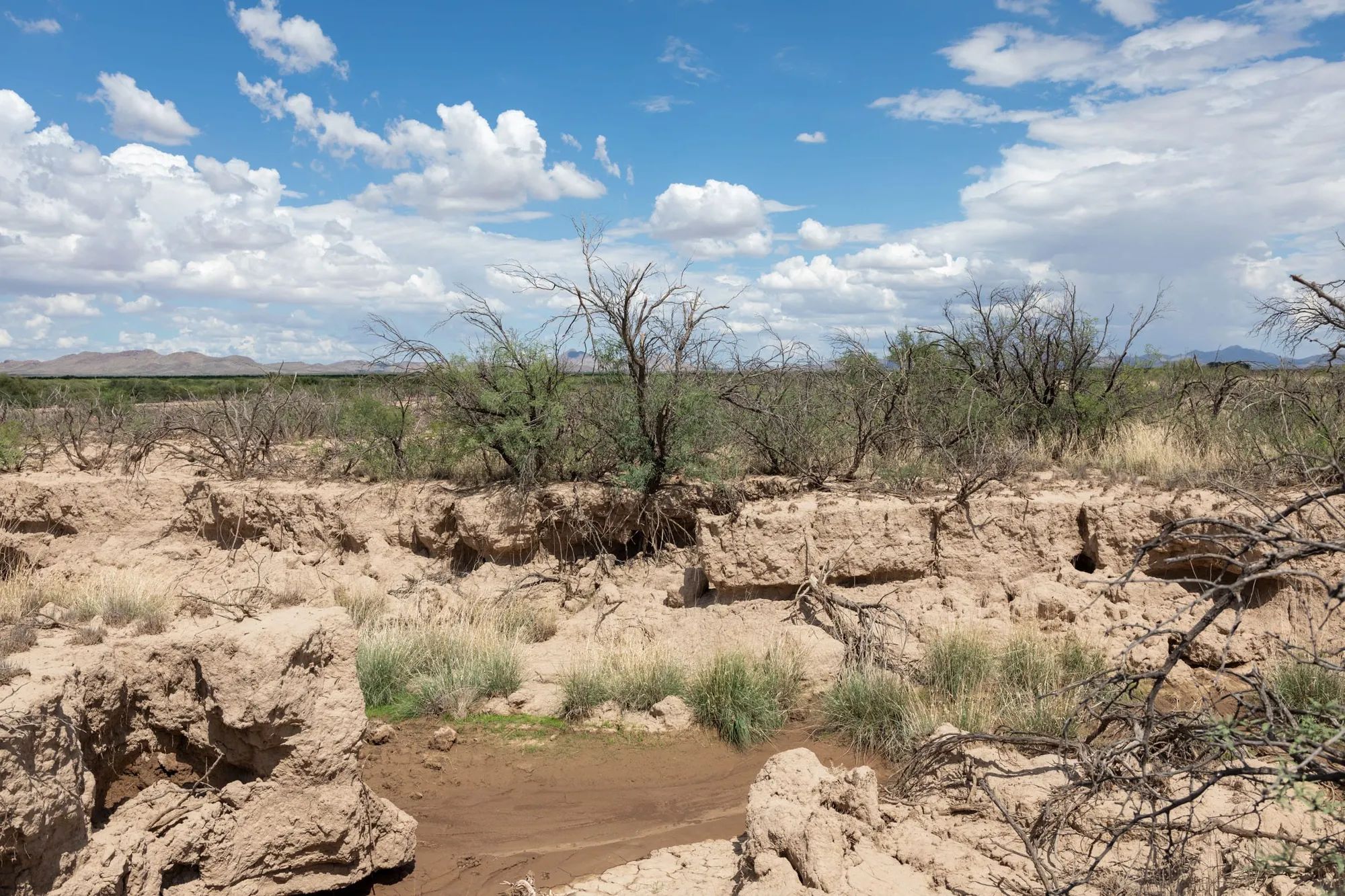 Horizon’s Edge Tract 8 in Cochise County, AZ
