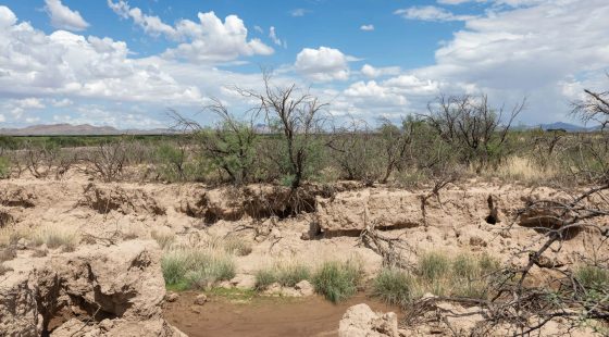 Horizon’s Edge Tract 8 in Cochise County, AZ