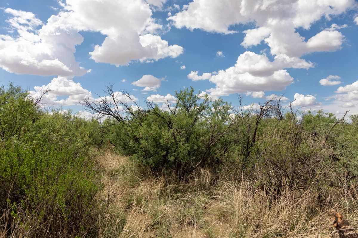 Horizon’s Edge Tract 8 - Image 4