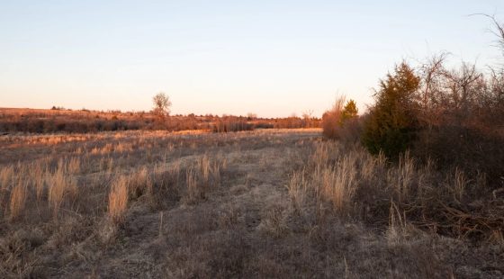 Painted Horse Tract 5 in Pittsburg County, OK
