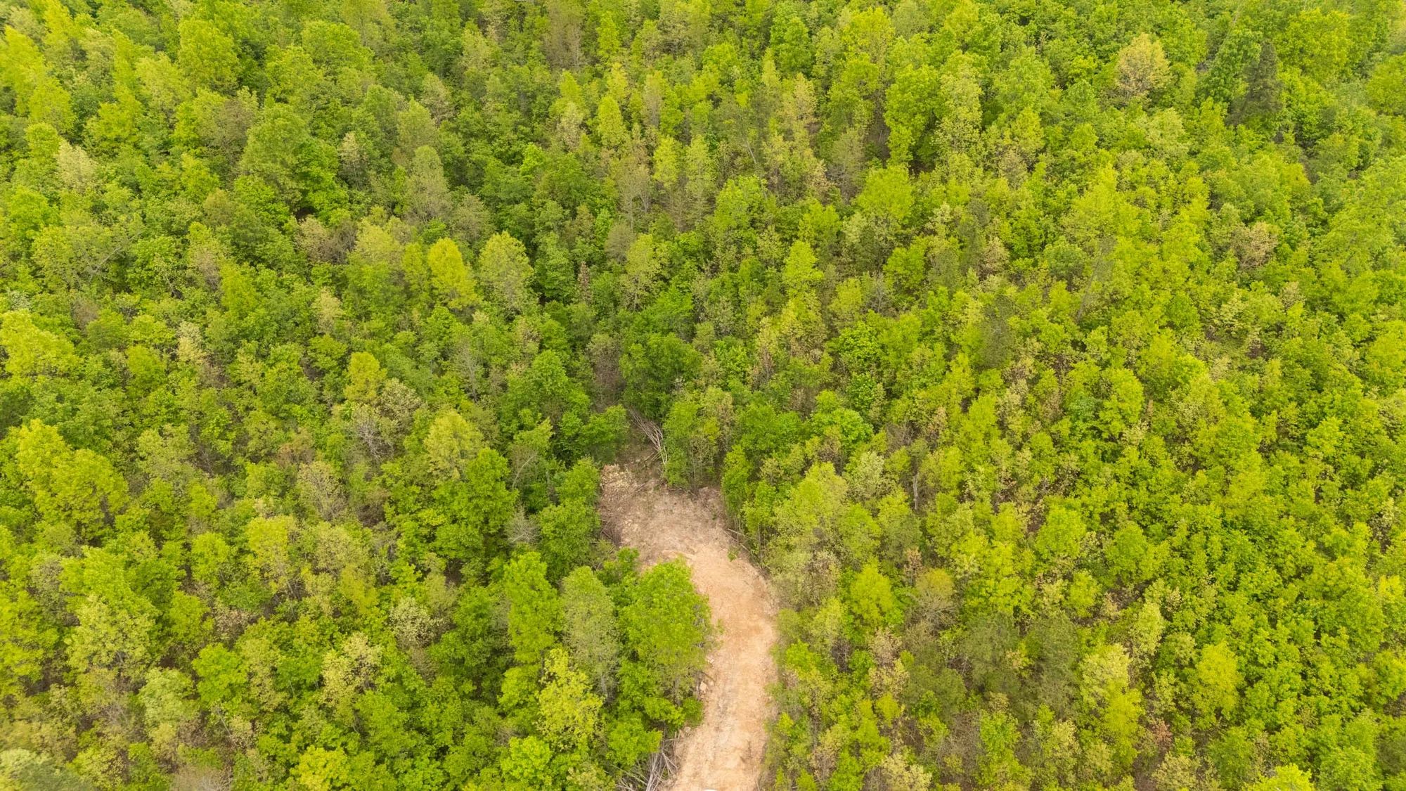 Double S Ranch Tract 7 in Reynolds County, MO
