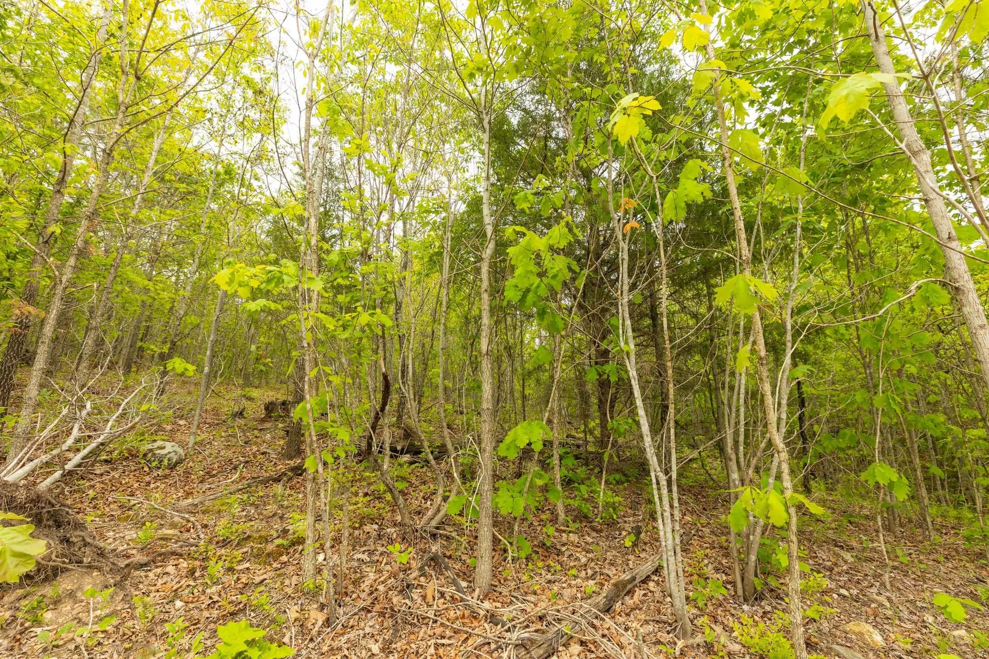 Double S Ranch Tract 7 in Reynolds County, MO