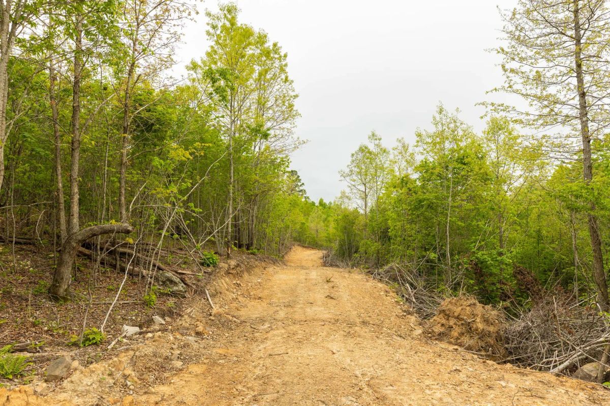 Decorative background for Double S Ranch Tract 7 image 10