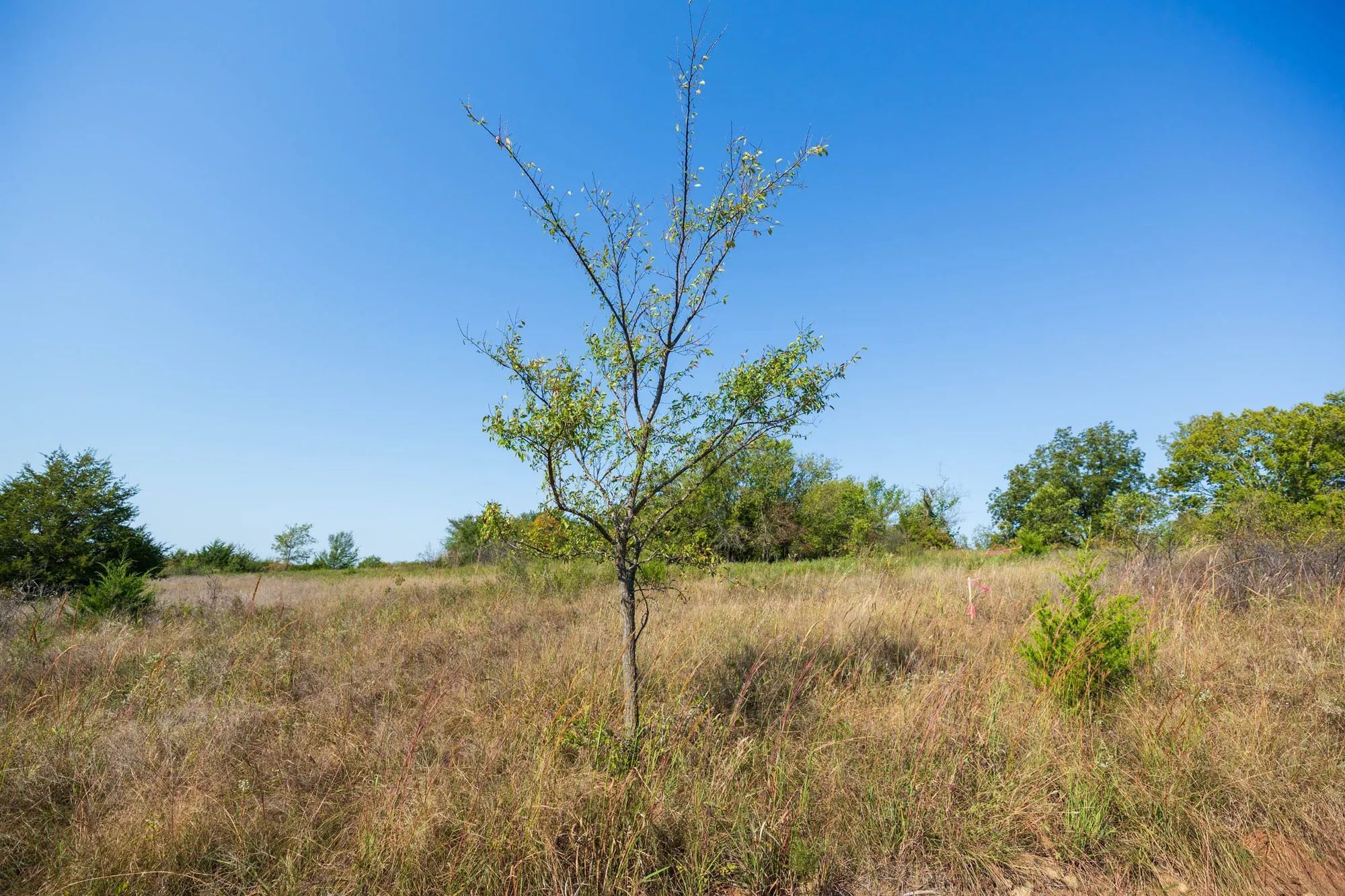 Canyon Creek Tract 12 in Lincoln County, OK