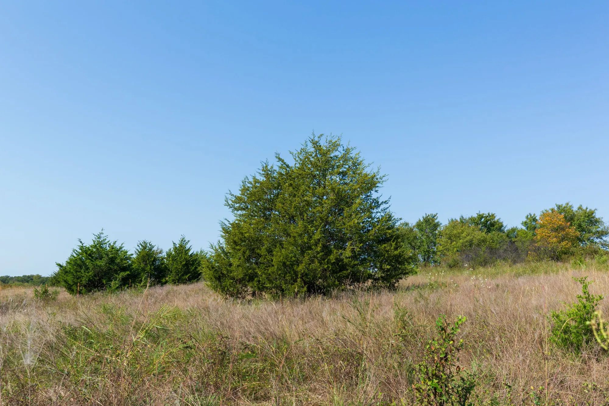 Canyon Creek Tract 12 in Lincoln County, OK