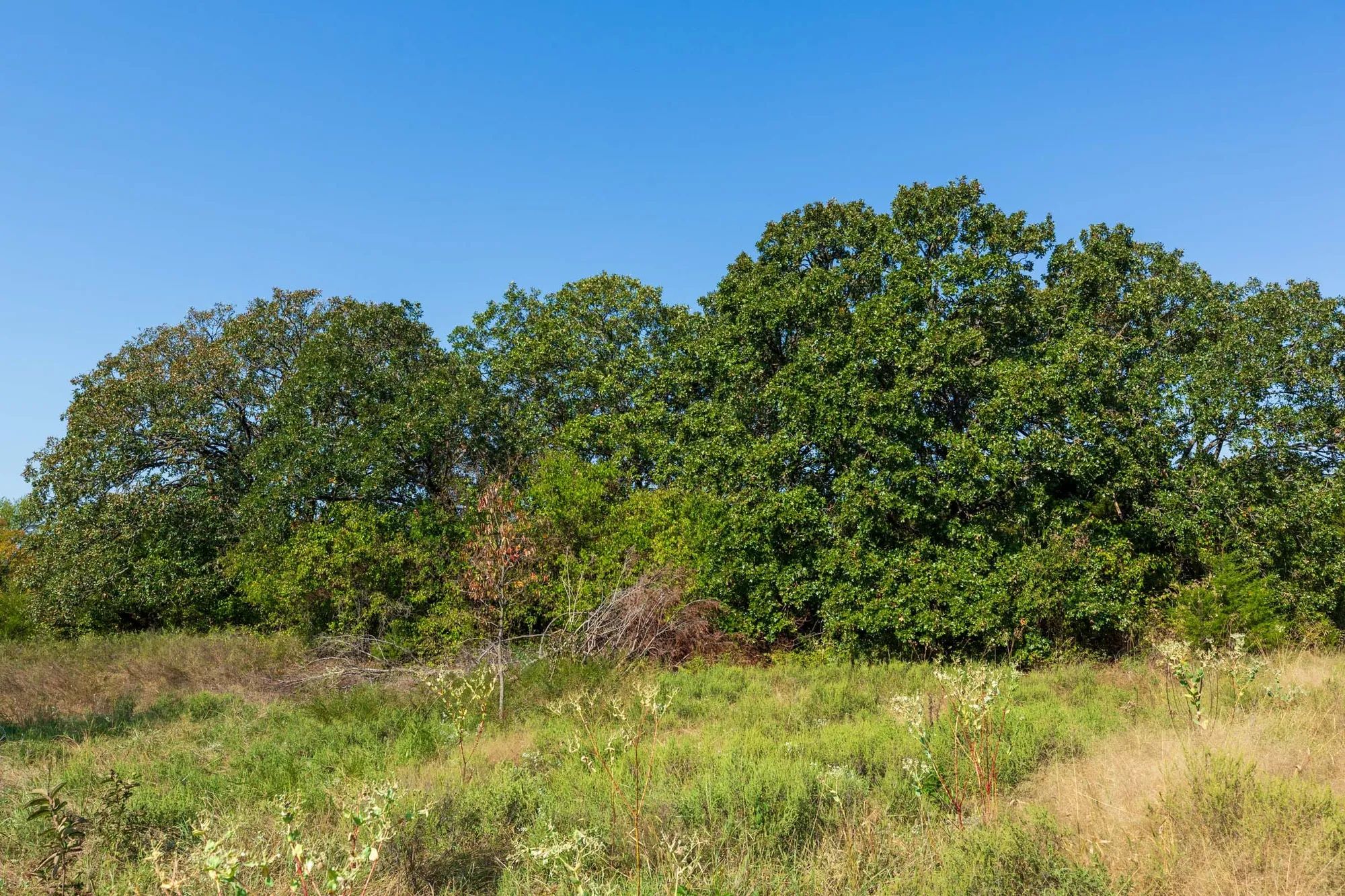 Canyon Creek Tract 12 in Lincoln County, OK