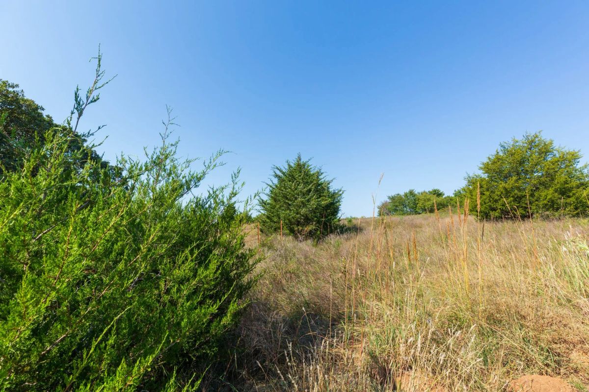 Decorative background for Canyon Creek Tract 12 image 6