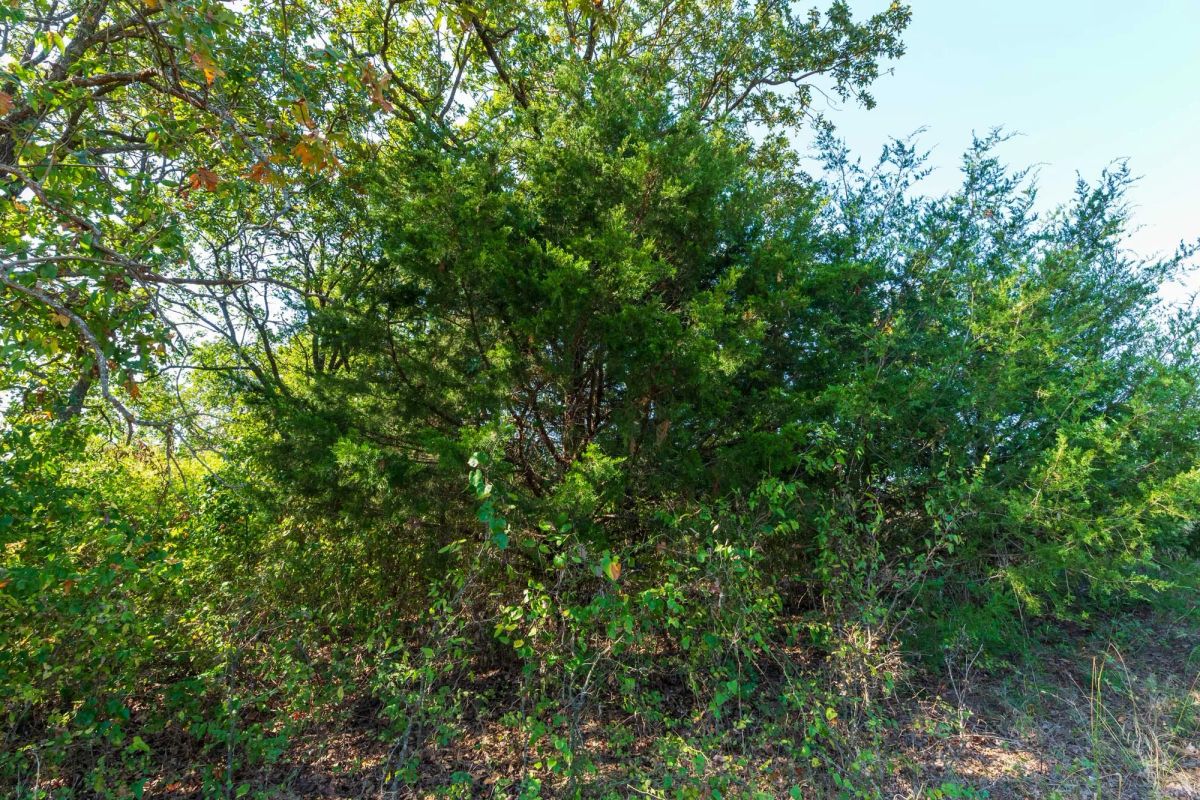 Decorative background for Canyon Creek Tract 12 image 7