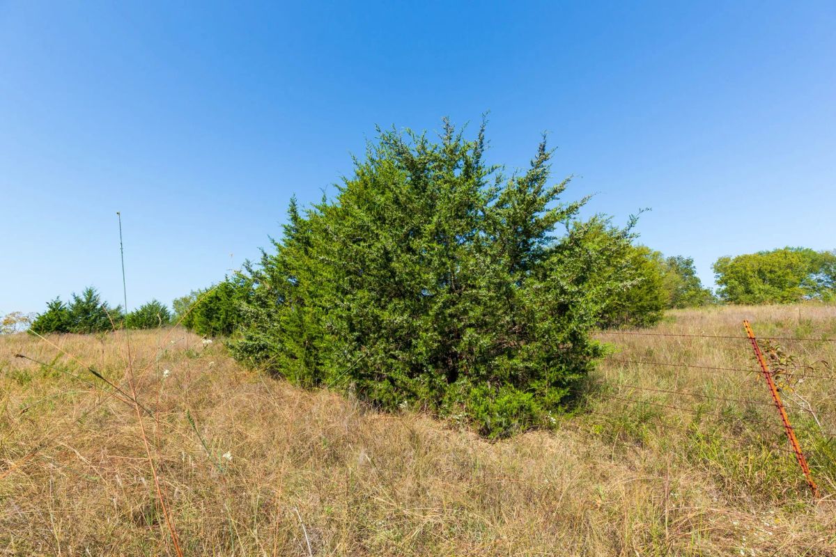 Decorative background for Canyon Creek Tract 12 image 8