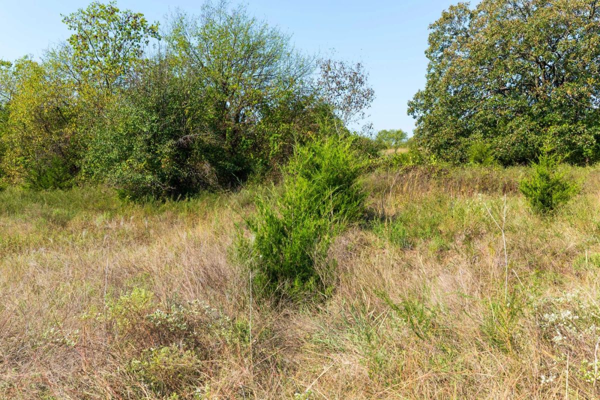 Decorative background for Canyon Creek Tract 12 image 9