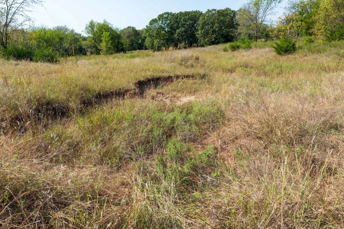Decorative background for Canyon Creek Tract 12 image 11