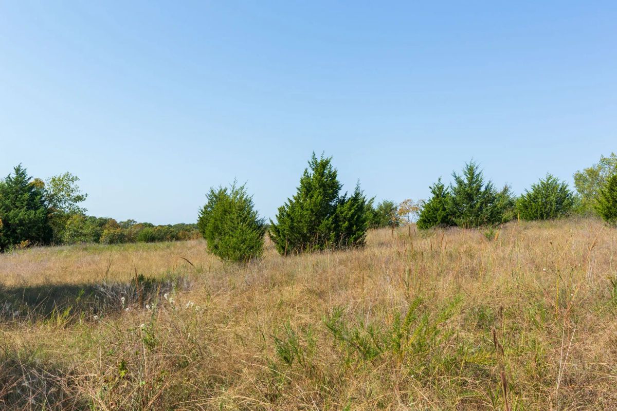 Decorative background for Canyon Creek Tract 12 image 12