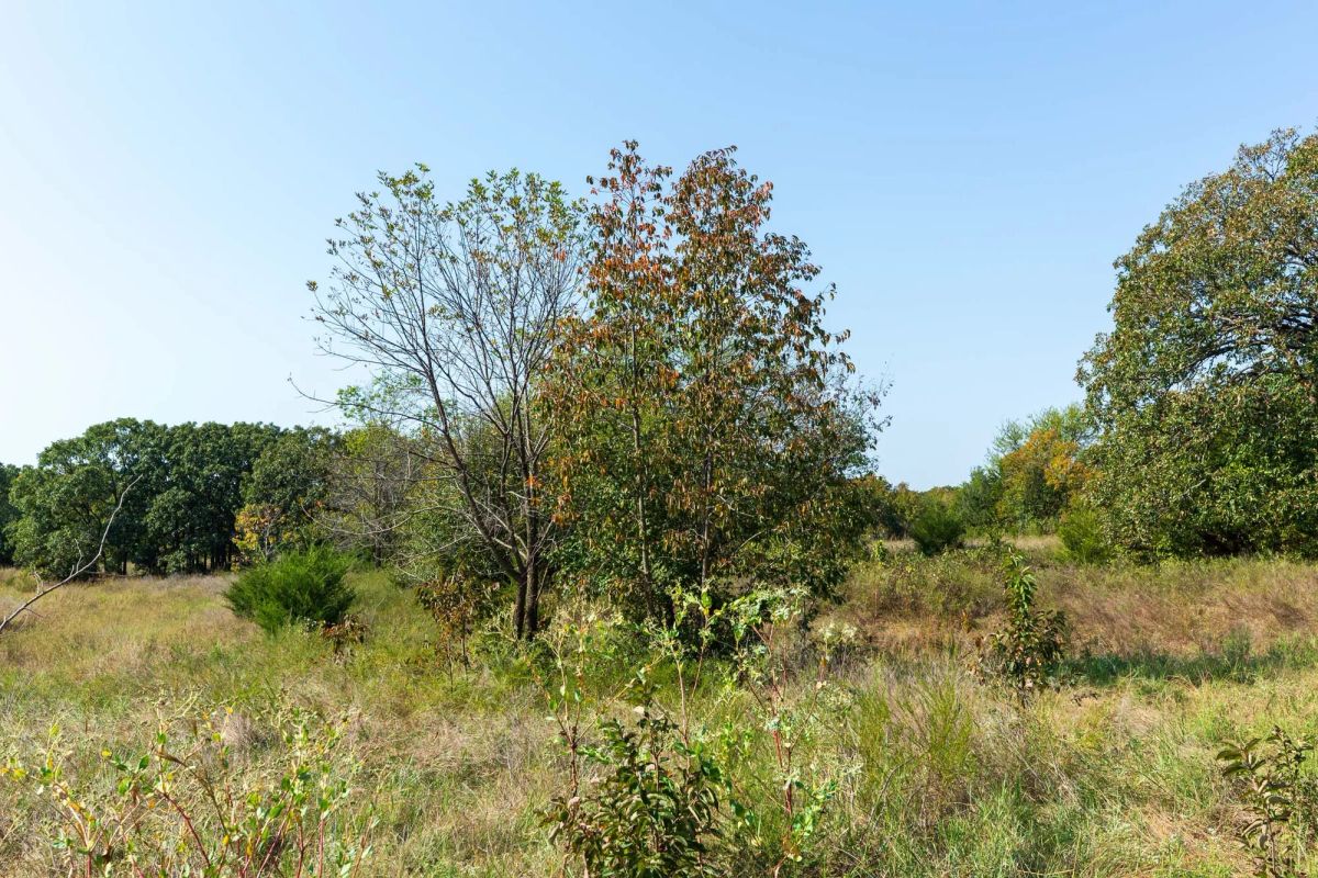 Decorative background for Canyon Creek Tract 12 image 13