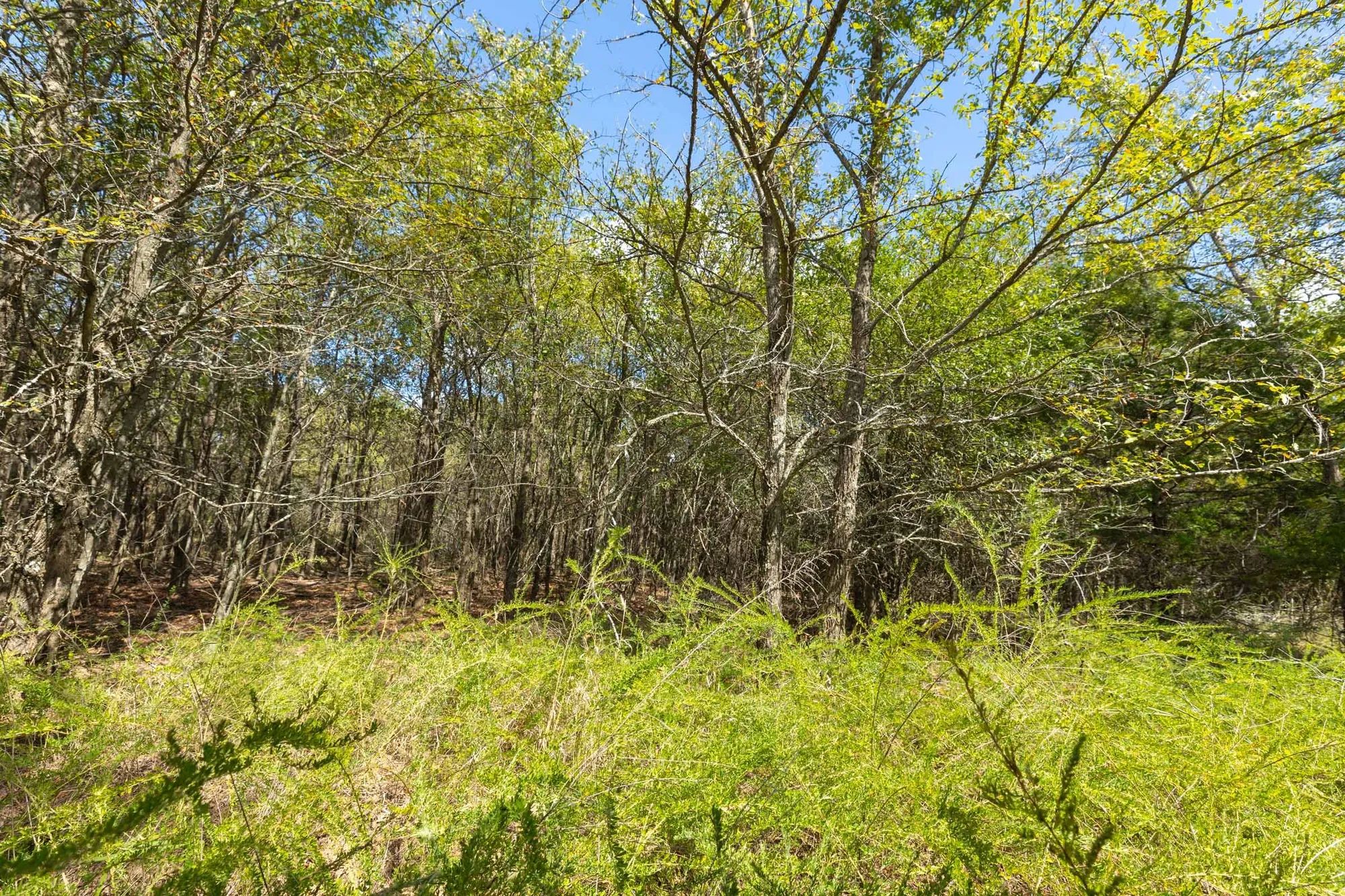 Reserves At Cattail Cove Phase II Tract 99 in Pittsburg County, OK
