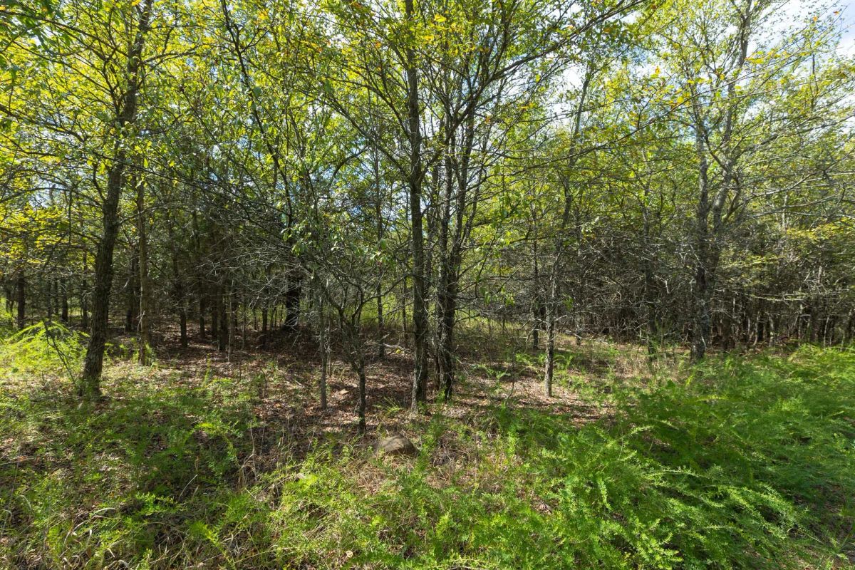 Decorative background for Reserves At Cattail Cove Phase II Tract 99 image 8