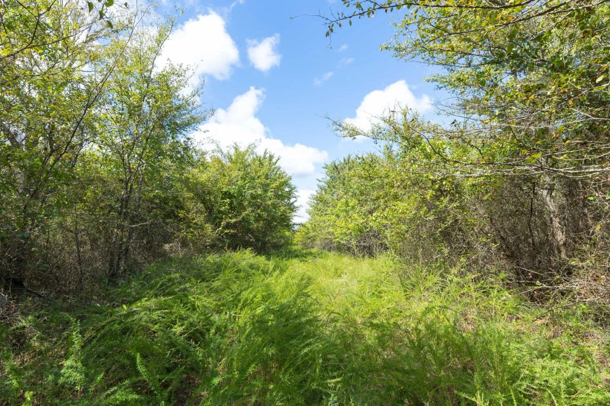 Decorative background for Reserves At Cattail Cove Phase II Tract 99 image 10