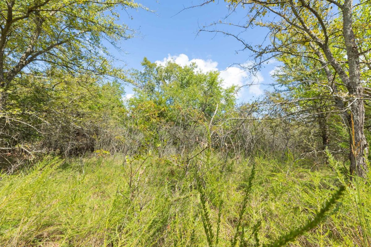 Decorative background for Reserves At Cattail Cove Phase II Tract 99 image 11