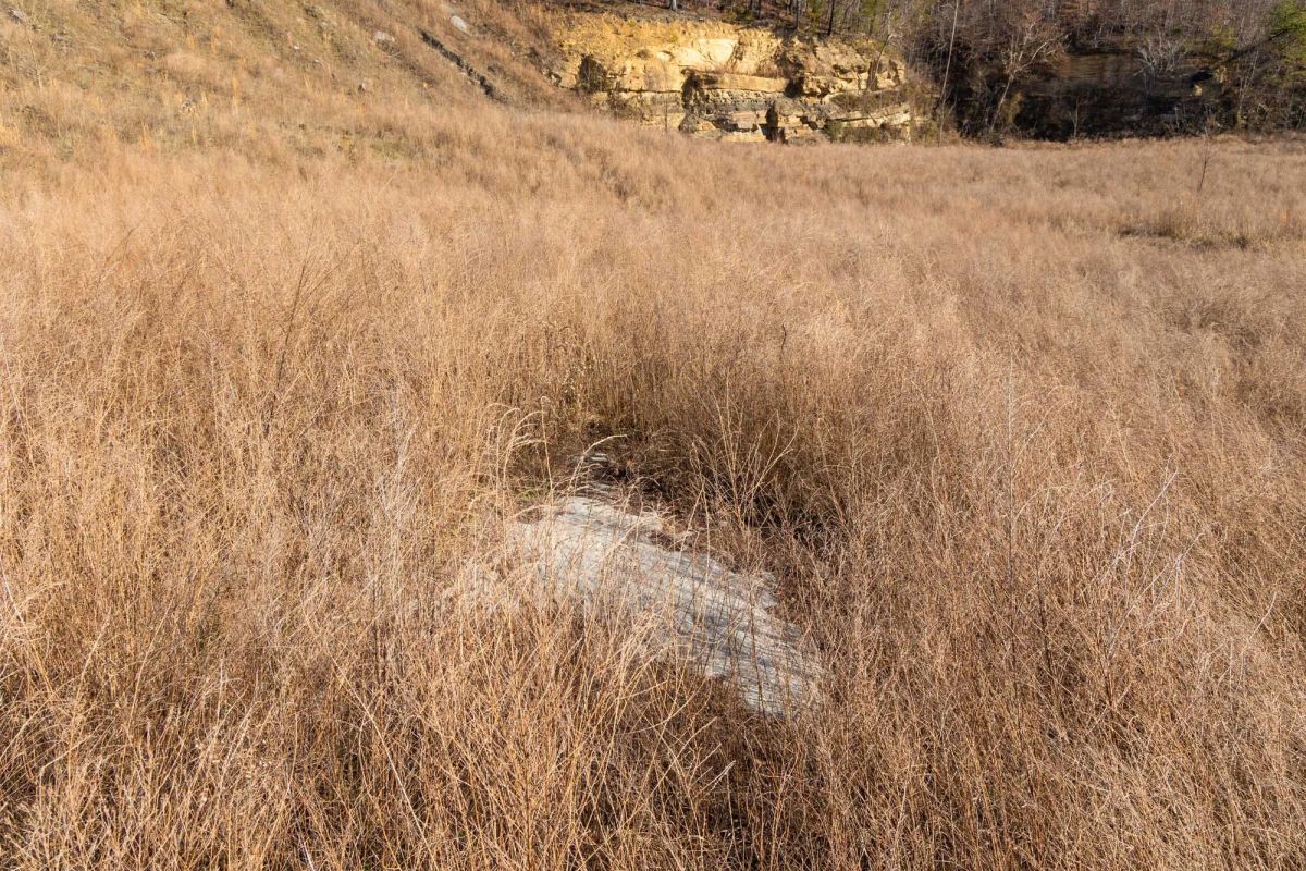 Decorative background for Jade Pass Tract 16 image 11