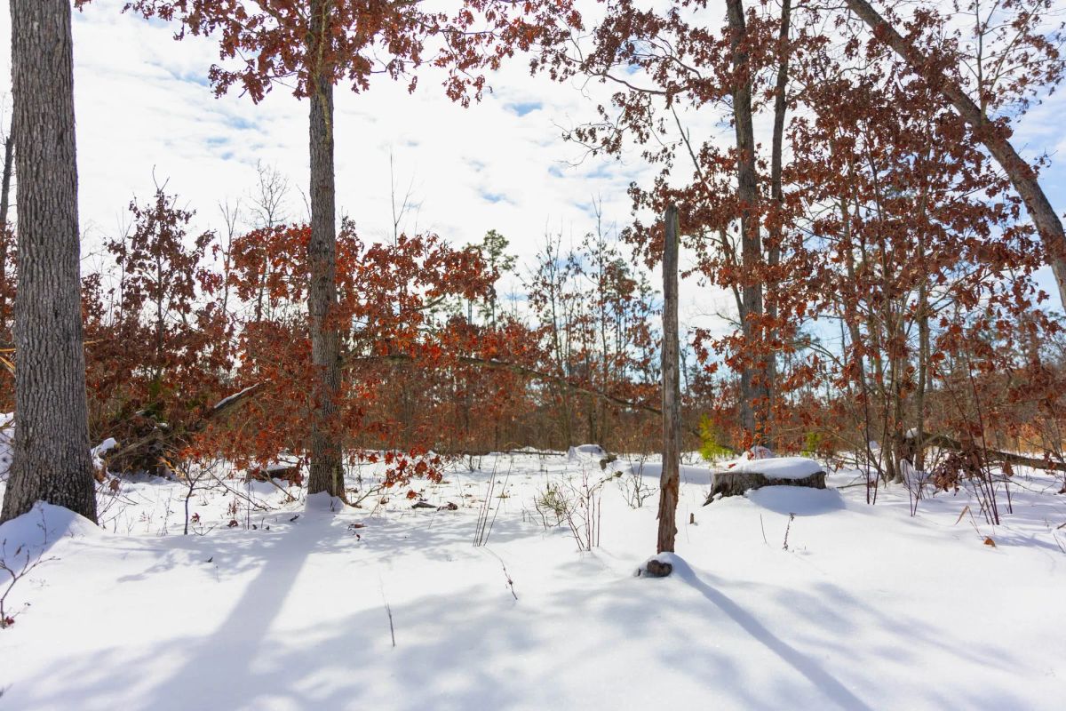 Sleepy Hollow Phase I Tract 4 - Main image