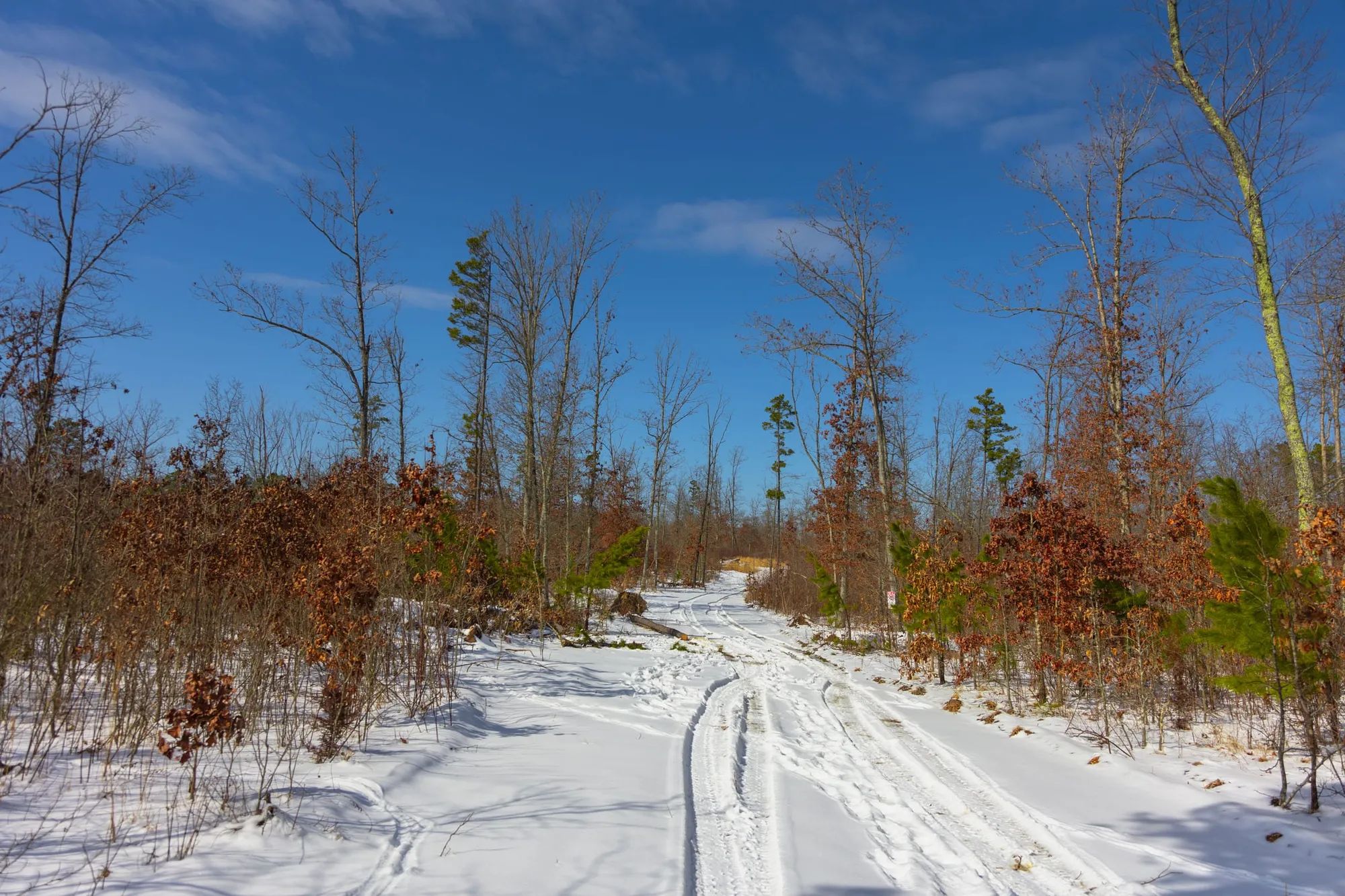 Sleepy Hollow Phase I Tract 4 in Texas County, MO
