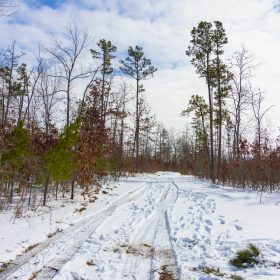 Sleepy Hollow Phase I Tract 4 in Texas County, MO