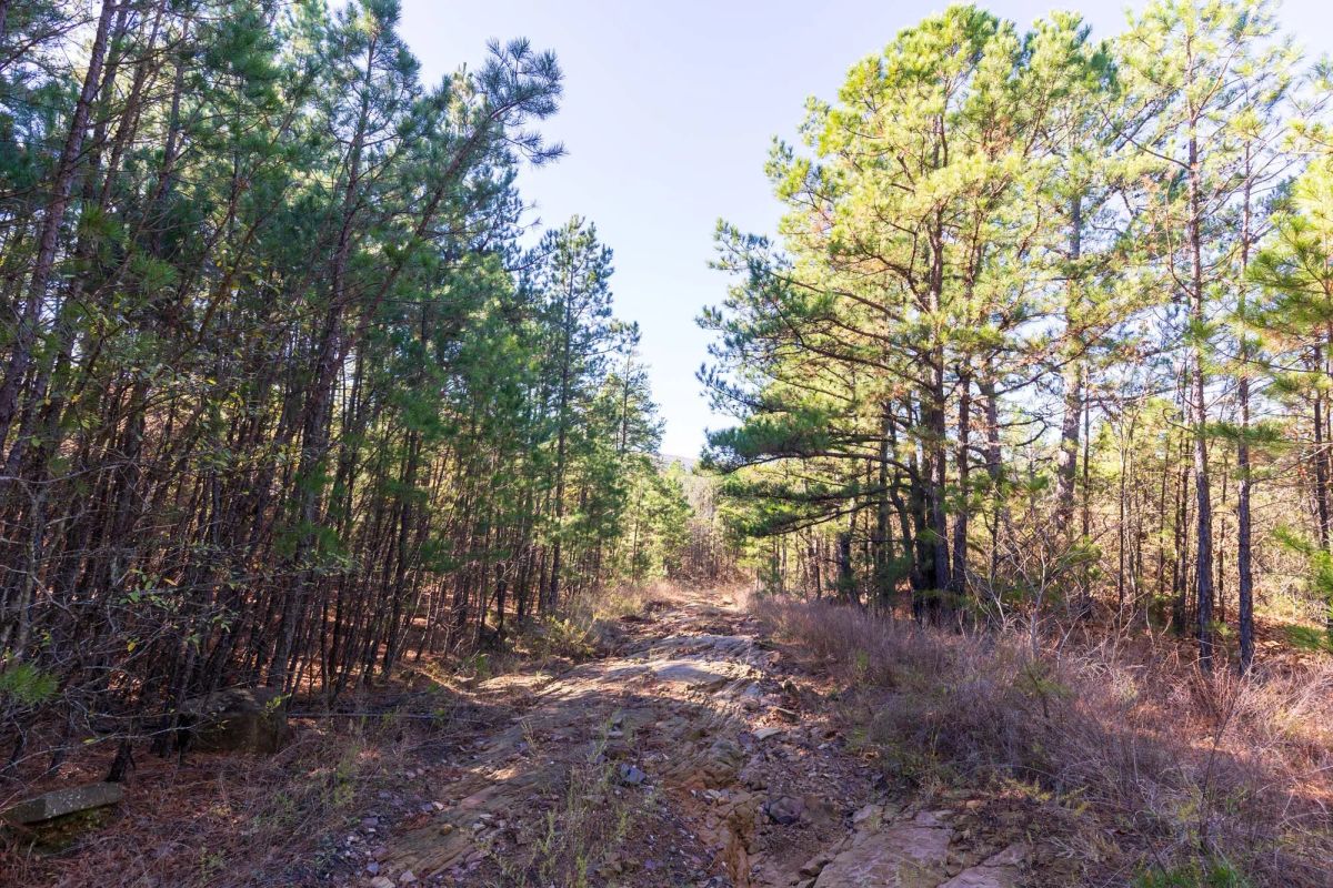 Stone Bridge Reserve Tract 6 - Main image