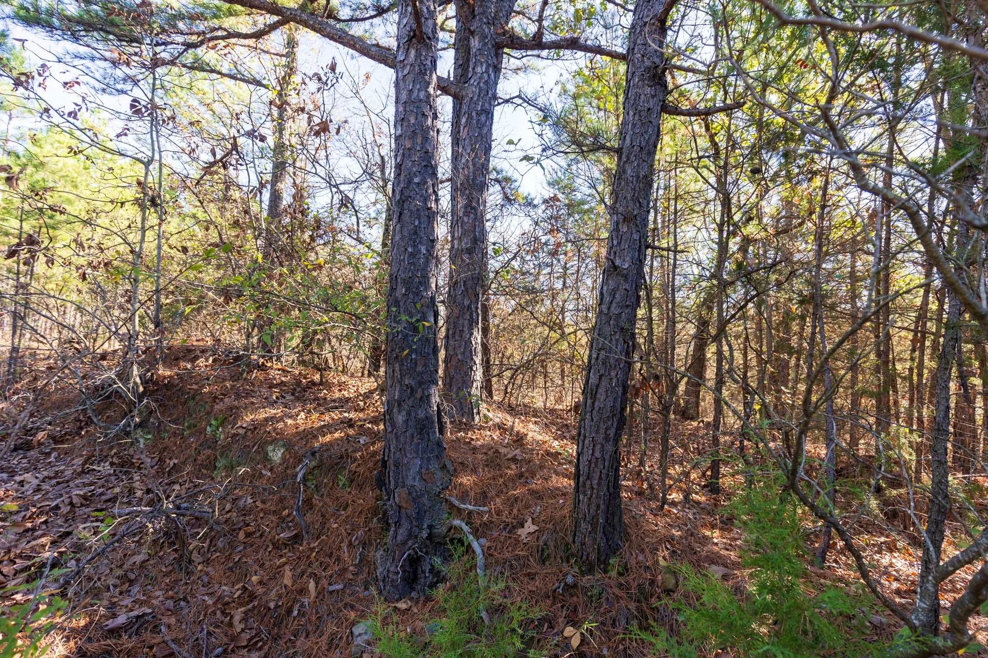 Stone Bridge Reserve Tract 6 in Haskell County, OK